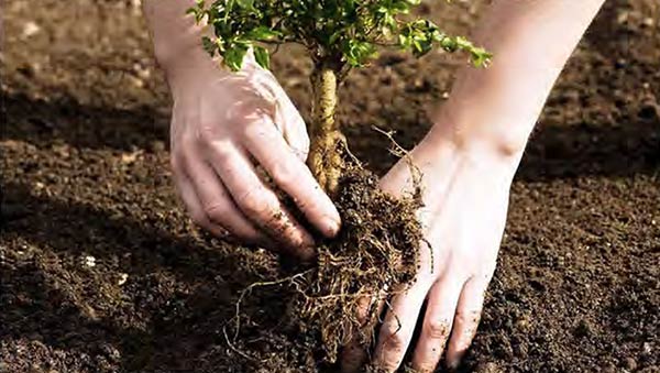 Forbes article on Environmental Education