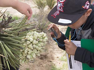 JTREE Grant for Oasis Elementary School