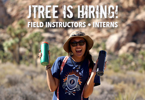 Field Instructor jobs