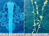 World Cyanotype Day