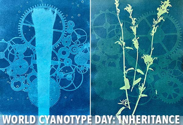 World Cyanotype Day
