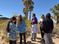 Living, Breathing & Learning outdoors