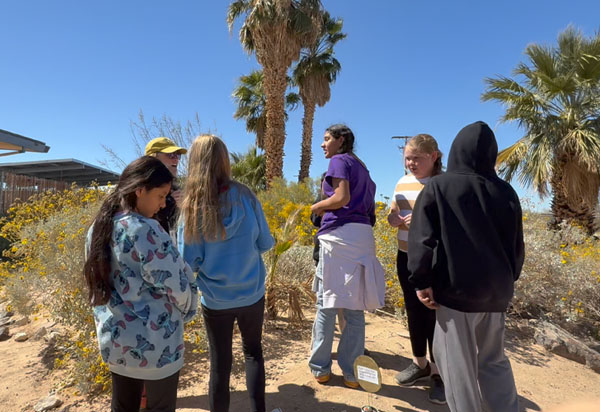Living, Breathing & Learning outdoors