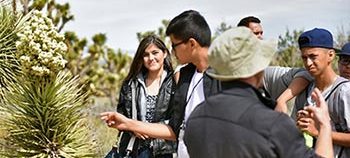 Environmental Youth Education